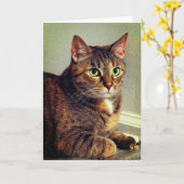 Wenskaart Brown Tabby Cat Kaart (Gele Bloem)