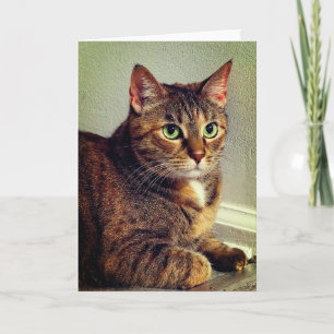 Wenskaart Brown Tabby Cat Kaart