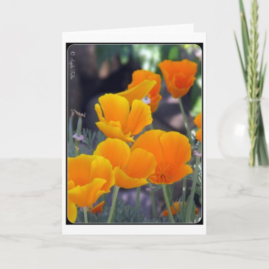 Wenskaart California Poppies Kaart (Voorkant)