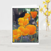 Wenskaart California Poppies Kaart (Gele Bloem)