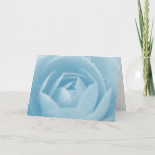 Wenskaart Camellia Whirlpool Kaart (Voorkant)