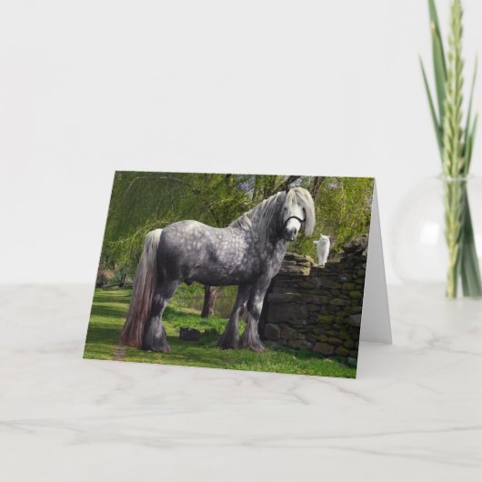 wenskaart "Caspian & His Cats" Kaart (Voorkant)