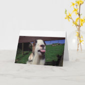 Wenskaart Cheeky Goat Kaart (Gele Bloem)