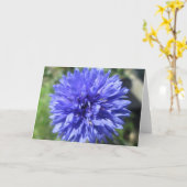 Wenskaart - Cornflower Blue Bachelor's Button Kaart (Gele Bloem)
