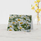 Wenskaart - Daises in Vermont Kaart (Gele Bloem)
