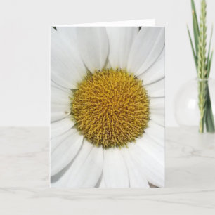 Wenskaart - Daisy Kaart