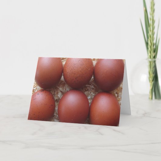 Wenskaart - de Eieren van de Kip Marans Kaart (Voorkant)