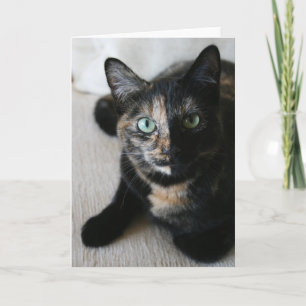 Wenskaart: De Kat van Mocha Kaart