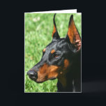 wenskaart Doberman Pinscher Kaart<br><div class="desc">Doberman Pincher,  Fotografie Ritmo Boxer-Design</div>