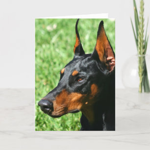 wenskaart Doberman Pinscher Kaart