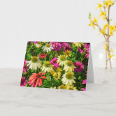 Wenskaart - Echinacea in Portsmouth Kaart (Gele Bloem)