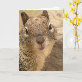 Wenskaart - Eekhoorn Kaart (Gele Bloem)