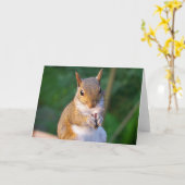 Wenskaart eekhoorn kaart (Gele Bloem)