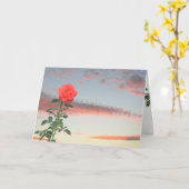 Wenskaart - Enkele Roos bij zonsondergang Kaart (Gele Bloem)