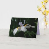 wenskaart "fairy iris" kaart (Gele Bloem)