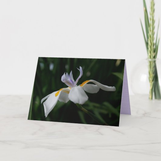 wenskaart "fairy iris" kaart (Voorkant)