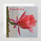 Wenskaart Feestdagenkaart (Voorkant / Achterkant)