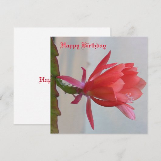 Wenskaart Feestdagenkaart (Voorkant / Achterkant)