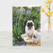 Wenskaart: Fijne verjaardag! Kaart (Gele Bloem)