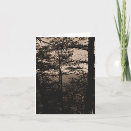 Wenskaart Forest Natuur Landschap Kaart