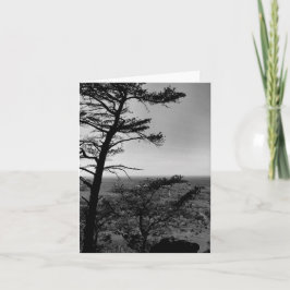 Wenskaart Forest Natuur Landschapsfoto Kaart