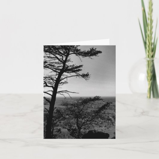 Wenskaart Forest Natuur Landschapsfoto Kaart (Voorkant)