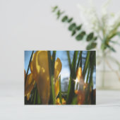 wenskaart "Garden Sunset" Briefkaart (Staand voorkant)