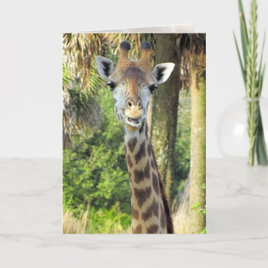 Wenskaart gekke Giraffe Kaart (Voorkant)