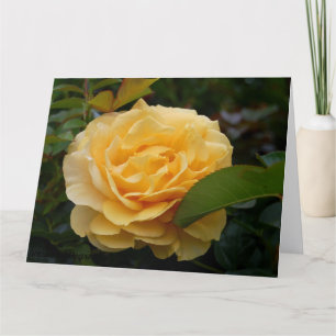 Wenskaart: Gele Camelia Kaart