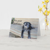 Wenskaart: Gelukkige verjaardag/Dicht uw ogen Kaart (Gele Bloem)