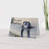 Wenskaart: Gelukkige verjaardag/Dicht uw ogen Kaart (Voorkant)