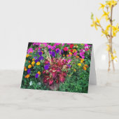 WENSKAART: Gemengde bloemen in een tuin Kaart (Gele Bloem)