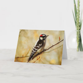 Wenskaart getextureerd Downey Woodpecker Kaart