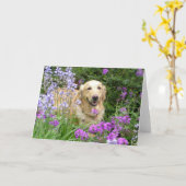 Wenskaart Golden Retriever in Flowers Kaart (Gele Bloem)
