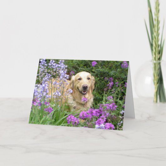 Wenskaart Golden Retriever in Flowers Kaart (Voorkant)