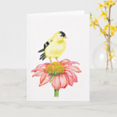 Wenskaart Goldfinch & Coneflower Kaart (Gele Bloem)