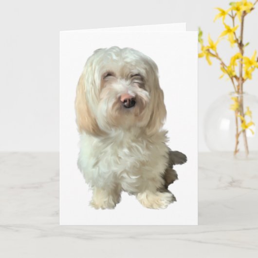 Wenskaart Havanese Dog Kaart (Gele Bloem)