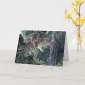 Wenskaart heilige wateren kaart (Gele Bloem)