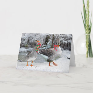 wenskaart "Henri & Colette" Kaart