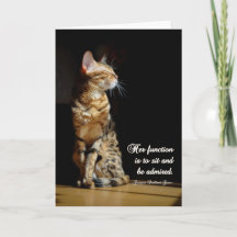 Wenskaart het voor alle doeleinden van de Kat van