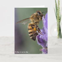 Wenskaart honingbijen blanco