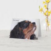 Wenskaart - ik ben Droevig Kaart (Gele Bloem)