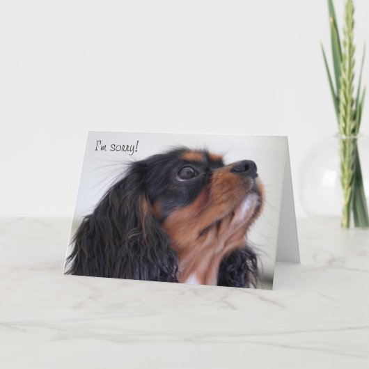 Wenskaart - ik ben Droevig Kaart (Voorkant)