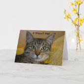 Wenskaart: Ik was het niet, Cat 2 Kaart (Gele Bloem)