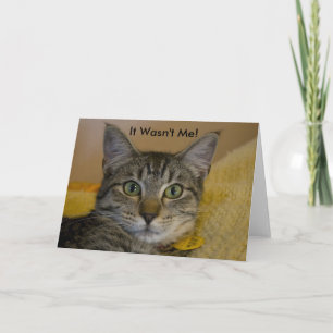 Wenskaart: Ik was het niet, Cat 2 Kaart