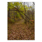 Wenskaart in het najaar van Walkway (Voorkant)