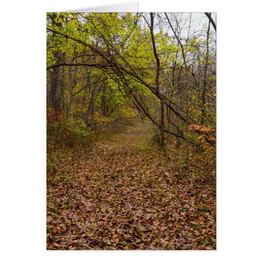 Wenskaart in het najaar van Walkway (Voorkant)