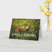 Wenskaart in het vroege voorjaar kaart (Gele Bloem)