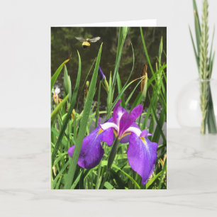 wenskaart in lente #1 kaart