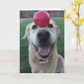 Wenskaart Kaart (Gele Bloem)